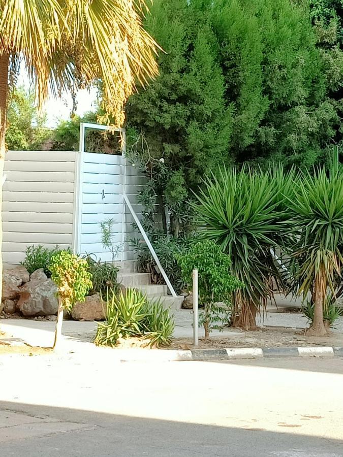 Mikis'S Seagate Studio Aprt. Larnaca Extérieur photo